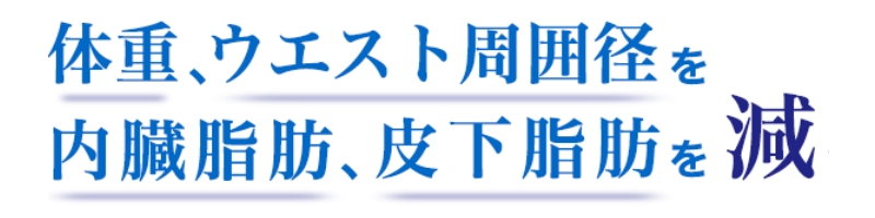 EGXg͂炷ỷԃC\t{`zTCg